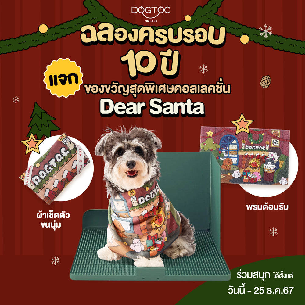 DOGTOC 10 ปี! ขอบคุณลูกค้าที่รักด้วยกิจกรรมสุดพิเศษ